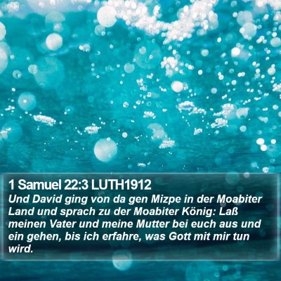 1 Samuel 22:3 LUTH1912 Bible Verse Image