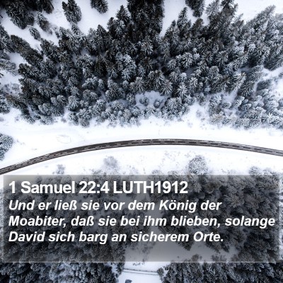 1 Samuel 22:4 LUTH1912 Bible Verse Image