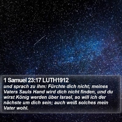 1 Samuel 23:17 LUTH1912 Bible Verse Image