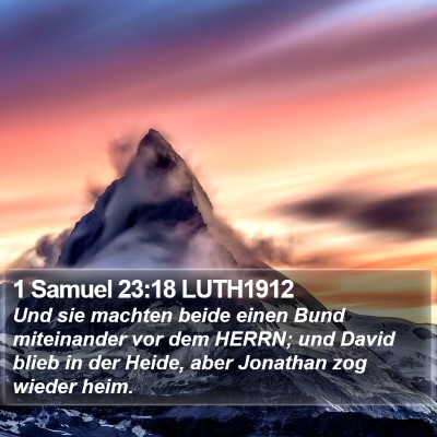 1 Samuel 23:18 LUTH1912 Bible Verse Image