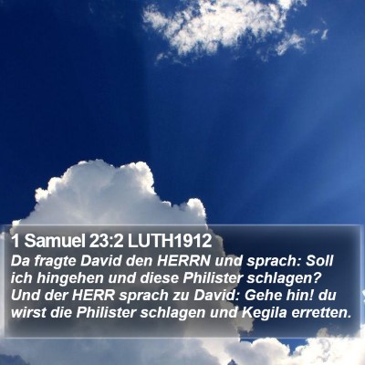 1 Samuel 23:2 LUTH1912 Bible Verse Image
