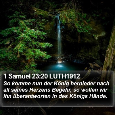 1 Samuel 23:20 LUTH1912 Bible Verse Image