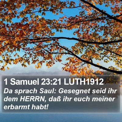 1 Samuel 23:21 LUTH1912 Bible Verse Image