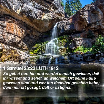 1 Samuel 23:22 LUTH1912 Bible Verse Image
