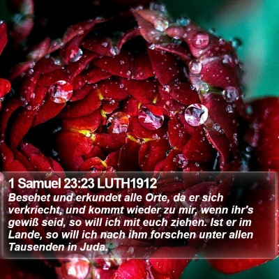 1 Samuel 23:23 LUTH1912 Bible Verse Image