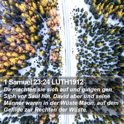1 Samuel 23:24 LUTH1912 Bible Verse Image
