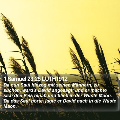 1 Samuel 23:25 LUTH1912 Bible Verse Image