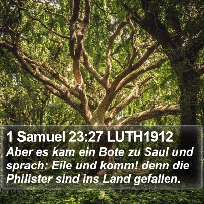 1 Samuel 23:27 LUTH1912 Bible Verse Image
