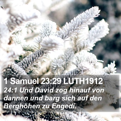 1 Samuel 23:29 LUTH1912 Bible Verse Image