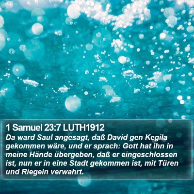 1 Samuel 23:7 LUTH1912 Bible Verse Image