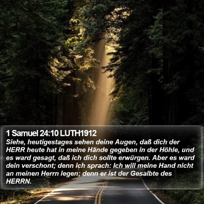 1 Samuel 24:10 LUTH1912 Bible Verse Image