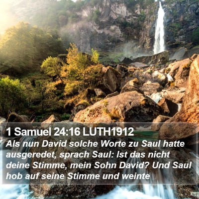 1 Samuel 24:16 LUTH1912 Bible Verse Image