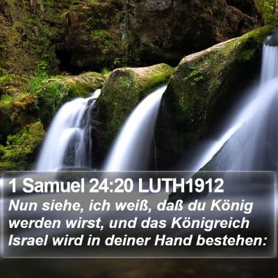 1 Samuel 24:20 LUTH1912 Bible Verse Image