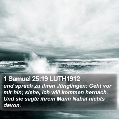 1 Samuel 25:19 LUTH1912 Bible Verse Image
