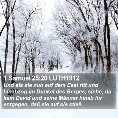 1 Samuel 25:20 LUTH1912 Bible Verse Image