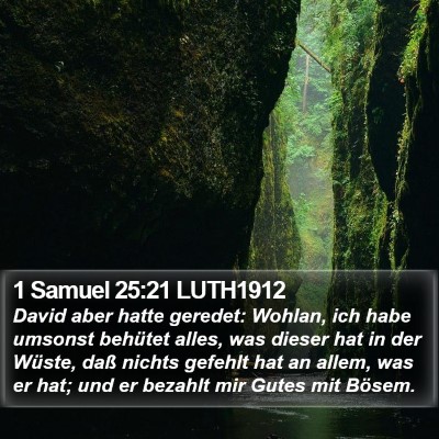 1 Samuel 25:21 LUTH1912 Bible Verse Image