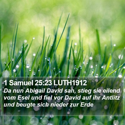 1 Samuel 25:23 LUTH1912 Bible Verse Image
