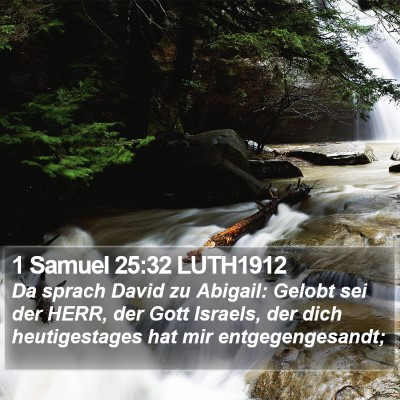1 Samuel 25:32 LUTH1912 Bible Verse Image
