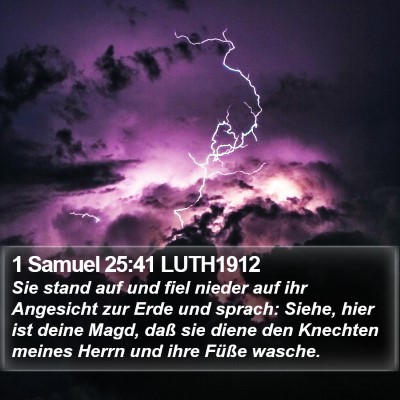 1 Samuel 25:41 LUTH1912 Bible Verse Image