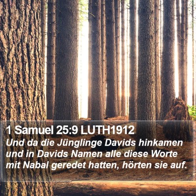 1 Samuel 25:9 LUTH1912 Bible Verse Image