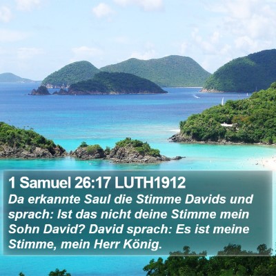 1 Samuel 26:17 LUTH1912 Bible Verse Image