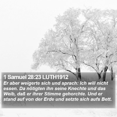 1 Samuel 28:23 LUTH1912 Bible Verse Image