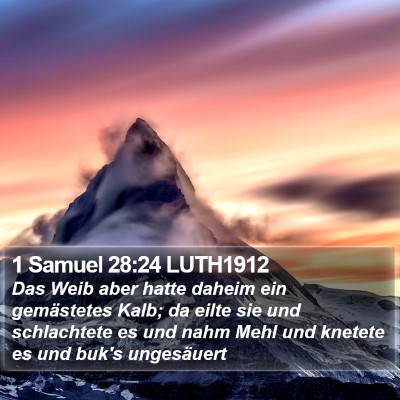1 Samuel 28:24 LUTH1912 Bible Verse Image