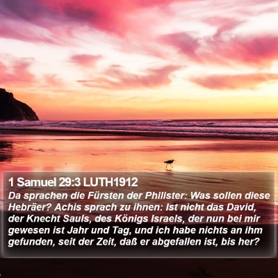 1 Samuel 29:3 LUTH1912 Bible Verse Image