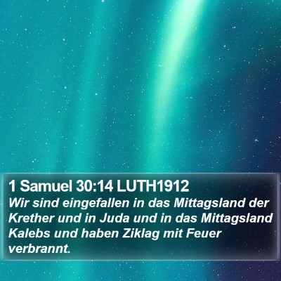 1 Samuel 30:14 LUTH1912 Bible Verse Image