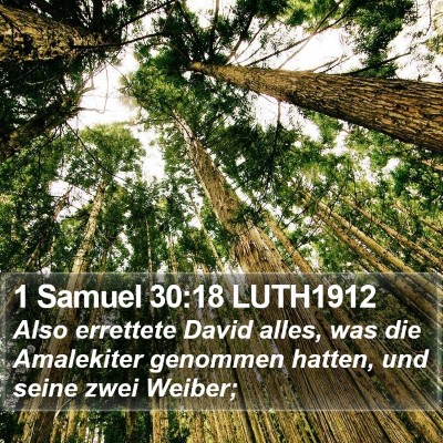 1 Samuel 30:18 LUTH1912 Bible Verse Image