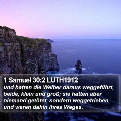 1 Samuel 30:2 LUTH1912 Bible Verse Image