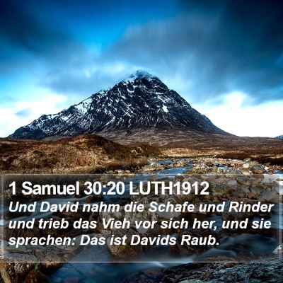 1 Samuel 30:20 LUTH1912 Bible Verse Image