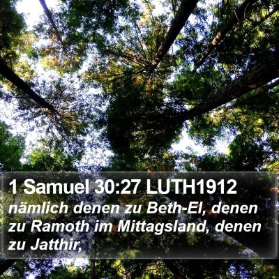 1 Samuel 30:27 LUTH1912 Bible Verse Image