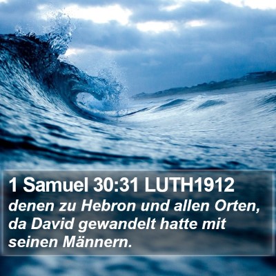 1 Samuel 30:31 LUTH1912 Bible Verse Image