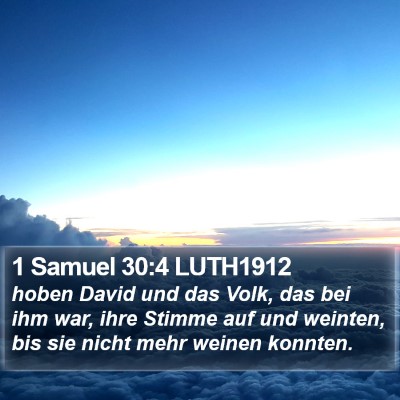 1 Samuel 30:4 LUTH1912 Bible Verse Image