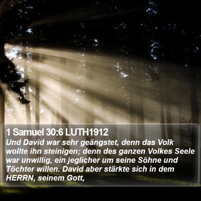1 Samuel 30:6 LUTH1912 Bible Verse Image