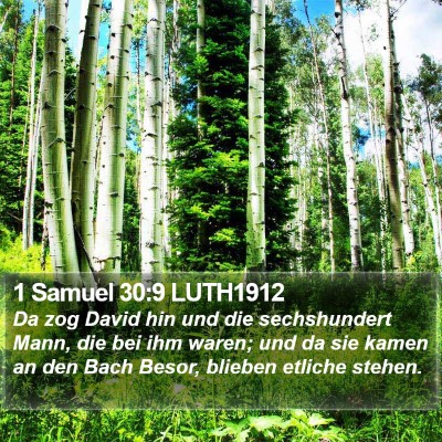 1 Samuel 30:9 LUTH1912 Bible Verse Image