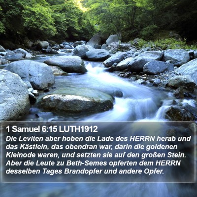 1 Samuel 6:15 LUTH1912 Bible Verse Image