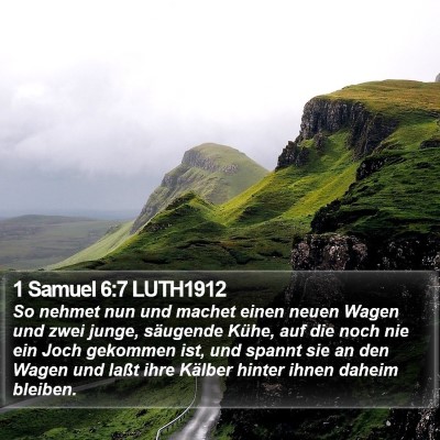 1 Samuel 6:7 LUTH1912 Bible Verse Image