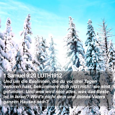 1 Samuel 9:20 LUTH1912 Bible Verse Image