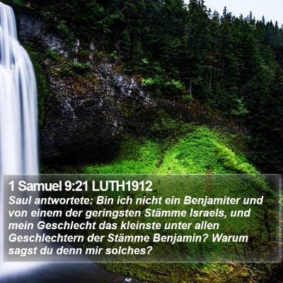 1 Samuel 9:21 LUTH1912 Bible Verse Image