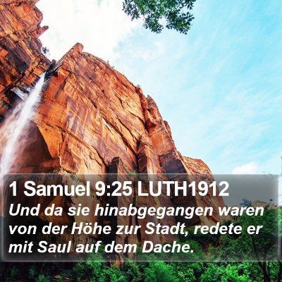 1 Samuel 9:25 LUTH1912 Bible Verse Image
