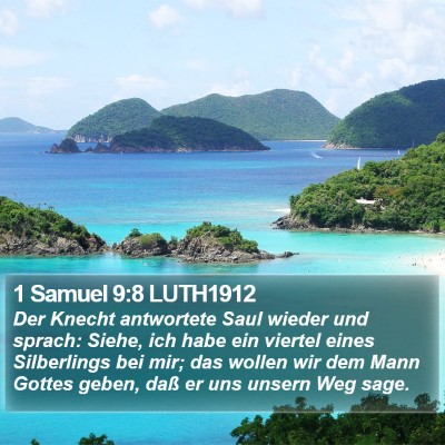1 Samuel 9:8 LUTH1912 Bible Verse Image