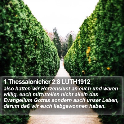 1 Thessalonicher 2:8 LUTH1912 Bible Verse Image