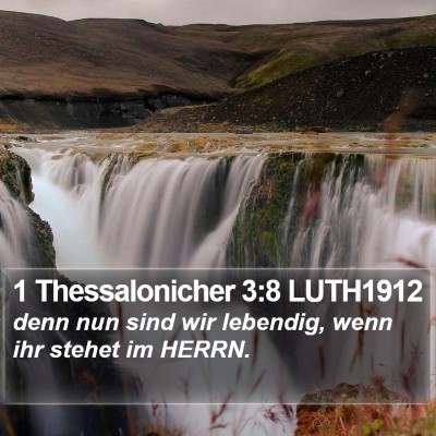 1 Thessalonicher 3:8 LUTH1912 Bible Verse Image