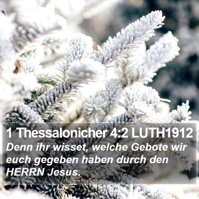 1 Thessalonicher 4:2 LUTH1912 Bible Verse Image