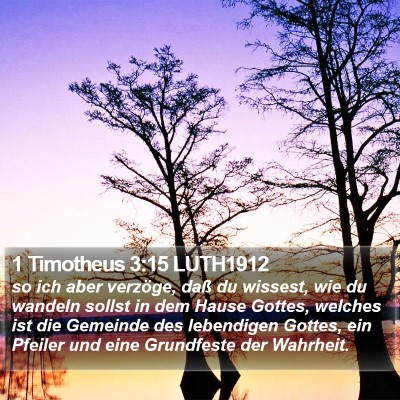 1 Timotheus 3:15 LUTH1912 Bible Verse Image