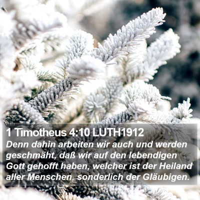 1 Timotheus 4:10 LUTH1912 Bible Verse Image