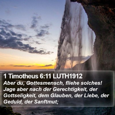 1 Timotheus 6:11 LUTH1912 Bible Verse Image