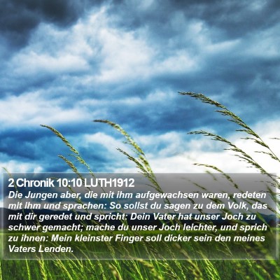2 Chronik 10:10 LUTH1912 Bible Verse Image
